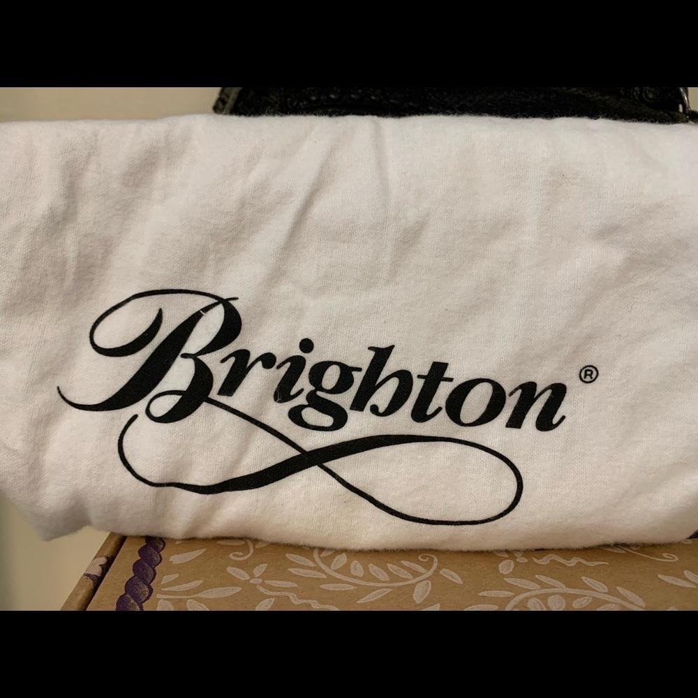 Brighton Original Tulla Black Python Handbag - image 4